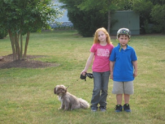 Pet Friendly Pet Friendly