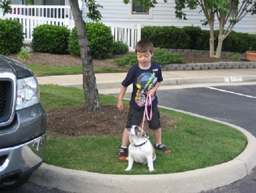 Pet Friendly Pet Friendly